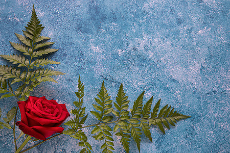 芳基涂料背景上的一朵红玫瑰蓝色玫瑰绘画刷子艺术海报墙纸纪念日周年帆布图片