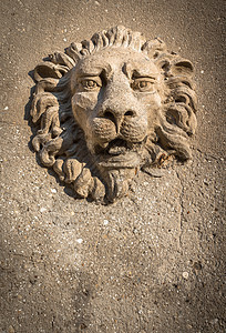 威尼斯的狮子褐色装饰品建筑学艺术雕像城市雕刻雕塑建筑鬃毛图片