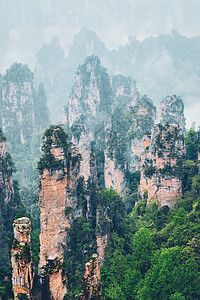 中国张家江山砂岩悬崖公园植物薄雾岩石旅行旅游山脉地标图片