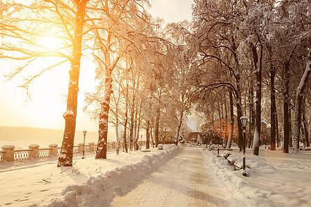 冬季公园的树木被雪覆盖风景小路季节场景天气阳光长椅太阳日落蓝色图片