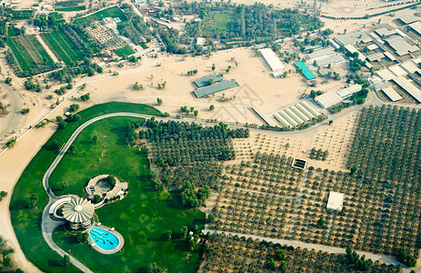 利用棕榈种植园对娱乐中心进行空中观察图片