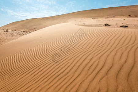 Namib沙漠沙丘上无尽的沙浪公园波浪干旱山脉黄色风景纳米布涟漪天空航向图片