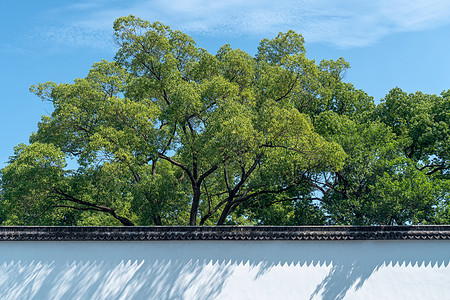 古老的传统花园 中国苏州花园程式化建筑天空风景吸引力建筑学遗产历史旅游旅行图片