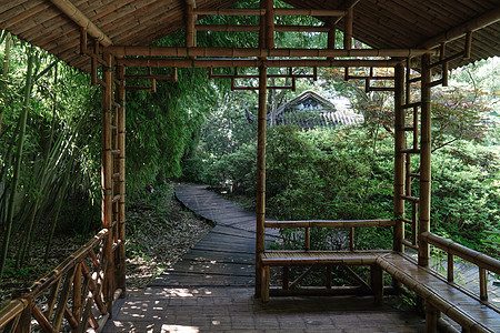 古老的竹屋和路 在中国苏州花园遗产文化荒野建筑学公园传统吸引力村庄小屋森林背景图片