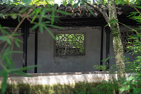 古老的传统花园 中国苏州花园吸引力环境历史风景走廊历史性遗产旅游建筑建筑学图片