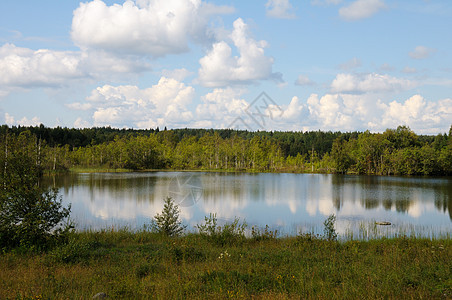 森林中的卡雷连野湖天空灌木丛棘轮蓝色石头草地松树风景反射草原图片