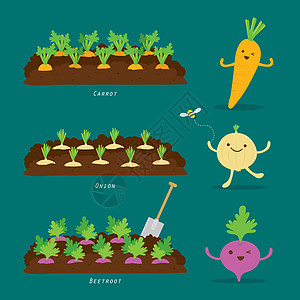 一套菜园 有机和健康食品卡通矢量图美食洋葱地面生态植物营养草本植物农场图表信息图片