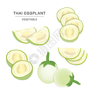 一套泰国茄子蔬菜片 有机和健康食品分离元素矢量图图片