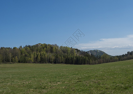 Lusatian 山田园诗般的春天景观 郁郁葱葱的绿草草地 新鲜的落叶和云杉林 山丘 蓝天白云背景 水平 复制空间图片