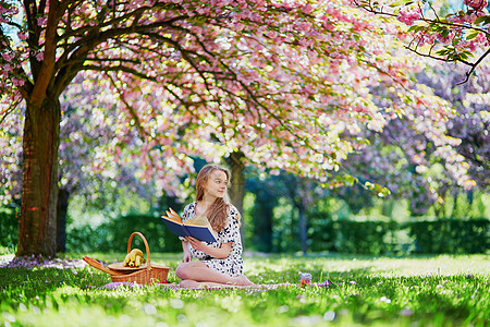 在盛开的春天公园 美丽的年轻女子小吃过敏花粉野餐闲暇食物花瓣长发阅读篮子图片