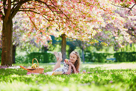 在盛开的春天公园野餐的年轻美女闲暇花园过敏樱花季节面包篮子糖果花瓣食物图片