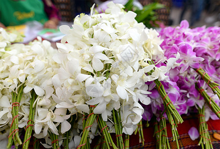 新鲜兰花 粉红色 白白色 捆包出售祷告传统粉色花瓣崇拜供品手工装饰品宗教绿色图片