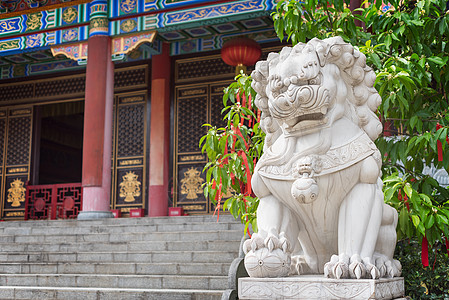 在佛教寺庙的狮子白石雕塑图片