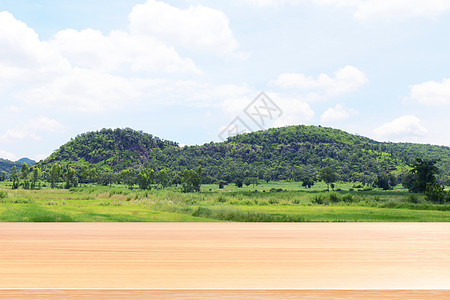 模糊的山脉和柔软的森林树背景上的木板 农田稻田景观天空背景上的空木桌地板 农业区自然上空的木桌板草地甲板乡村叶子晴天木头花园蓝色图片