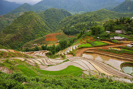 山上绿稻田叶子地球曲线旅行爬坡房子土壤场地植物天空图片