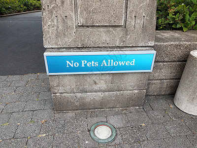 不允许蓝宠物在水泥墙上签字灯光动物指示牌图片