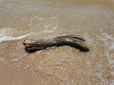 流沙的海浪 岩石和漂浮木日志石头鹅卵石波浪支撑木头贝壳海洋浮木图片