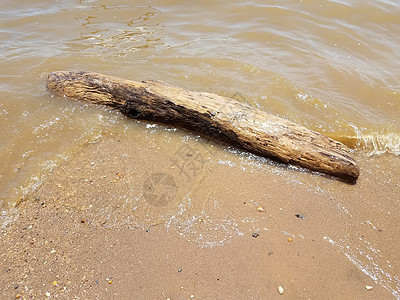 流沙的海浪 岩石和漂浮木海洋日志木头波浪贝壳石头鹅卵石浮木支撑图片