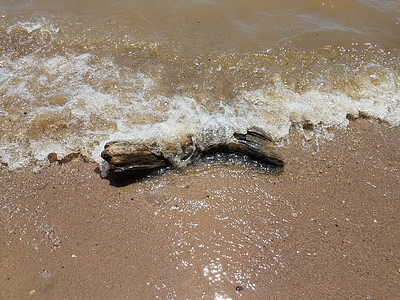 流沙的海浪 岩石和漂浮木浮木波浪海洋木头鹅卵石石头支撑贝壳图片