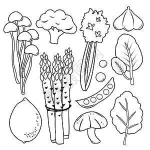 蔬菜卡通线图标和符号 Vecto美食花园菠菜芹菜沙拉生长厨房生态热带农业图片