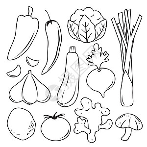 蔬菜卡通线图标和符号 Vecto植物沙拉食物草本植物胡椒韭葱叶子美食农业营养图片