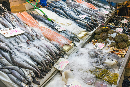 圣地亚哥市场海产食品和鱼盒子盐水渔业小龙虾鲭鱼海洋饮食海鲜海胆营养图片