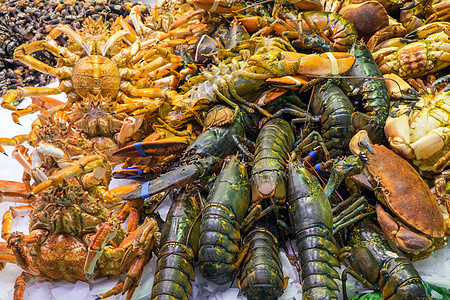 巴塞罗那市场上的贝壳鱼图片