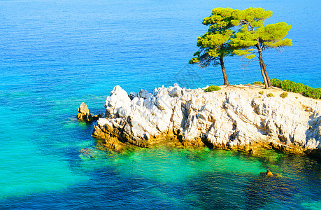 希腊Skopelos的松绿水 松树和岩石海岸线海洋悬崖假期旅游电影墙纸旅行蓝色水晶风景图片