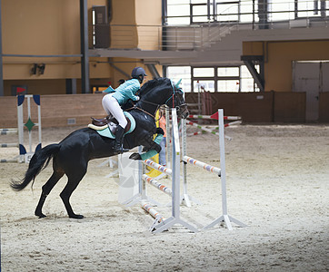 马跳跃黑人种马上的年轻女子 在表演跳跃比赛中跳过障碍物宠物马术马具竞赛牧场动物女孩靴子舞步带子背景