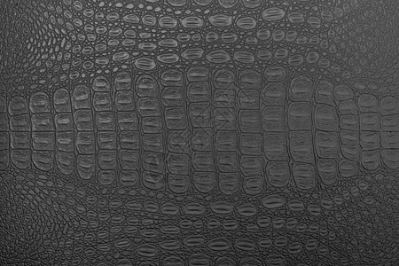 单色鳄鱼皮纹理材料织物打印黑色爬虫荒野奢华宏观动物皮肤图片