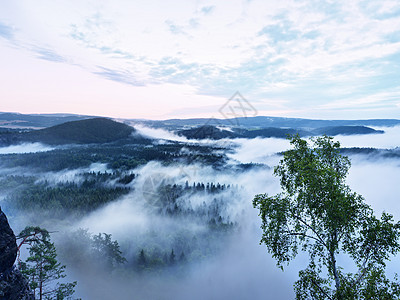 清晨的奇幻黎明 山峰从雾中露出外表公园薄雾地面反射烟雾反转阳光天空风景图片