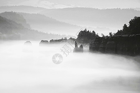 岩石山顶的奇妙日出 风向进入迷雾谷地顶峰阳光日落天空黑白照片照片游客石头木头森林图片