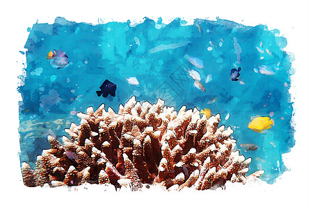 海水洋底的海洋生物插图生活海上生活艺术品绘画水彩海洋背景图片