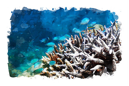 海水洋底的海洋生物插图绘画生活艺术品水彩海洋海上生活背景图片