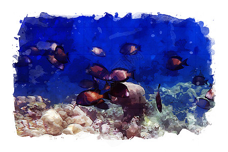 海水洋底的海洋生物插图生活海上生活海洋艺术品水彩绘画背景图片