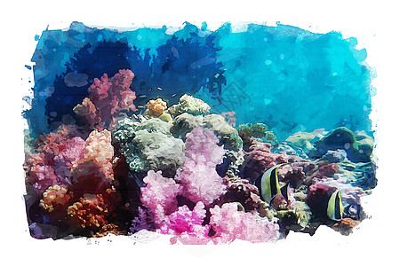 海水洋底的海洋生物海上生活艺术品绘画海洋生活插图水彩背景图片