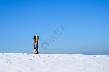 雪中外门的艺术品森林社论艺术雕塑木头手工业帽子雕刻鼻子叶子图片