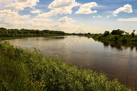 充满河流和天空的夏月风景黄色公园白色木头季节反射绿色环境蓝色森林图片
