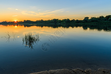 夏季在河上美丽的日落的景象芦苇地平线反射太阳天空橙子沼泽阳光池塘场景图片