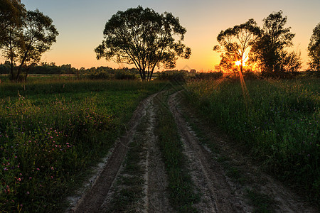 夏日的夕阳美丽 有树木和草草季节日出黄色太阳日落土地公园天空阳光小路图片