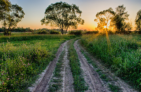 夏日的夕阳美丽 有树木和草草季节日落土地日出阳光小路天空公园太阳绿色图片