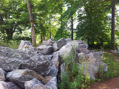 在公共公园绿树之间定居的大块石头或大块石头公共公园森林麻面旅行分层侵蚀悬崖公园沉积遗产图片