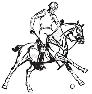 马术警察运动马球玩家骑术小马马背黑与白男人游戏竞赛图片