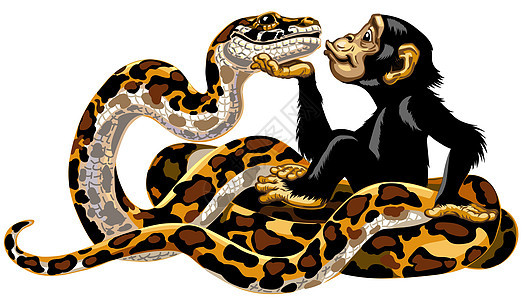 卡通黑猩猩和蟒蛇背景图片
