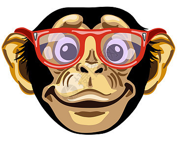 微笑的黑猩猩的头背景图片