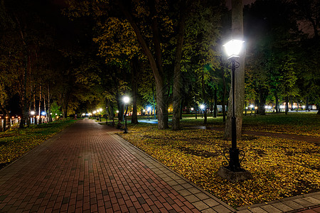 秋天夜公园 黄叶落下植物城市叶子正方形季节花园灯笼森林小路人行道图片