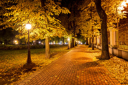 秋天夜公园 黄叶落下花园景观路面季节长椅途径城市森林小路正方形图片
