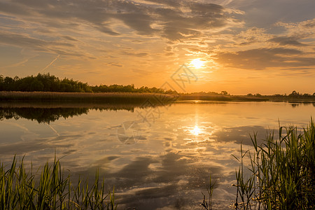 在池塘或湖泊上方日落 夏季有云天和水反射橙子太阳阳光地平线场景季节风景黄色芦苇沼泽图片