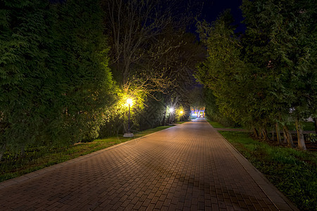 夏天的夜间公园季节花园人行道绿色风景场景景观长椅城市灯笼图片