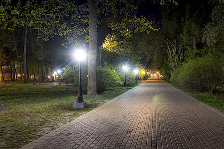 夏天的夜间公园场景路面长椅小路绿色城市街道风景灯笼花园图片